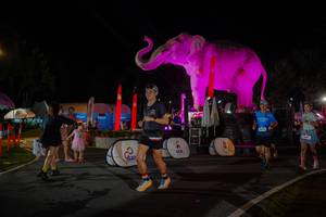 BIB: 
                            <button type="button" onclick="openModal(26552183)" class="btn btn-primary btn-sm float-right btn-popup" data-toggle="modal" data-target=".modal-high-quality">
                        <i class="fas fa-shopping-cart"></i> Add to Cart
                    </button>
                                            <button type="button" onclick="isThisMe(26552183, true)" class="btn btn-success btn-sm float-right btn-popup btn-isme hidden" data-toggle="tooltip" data-placement="bottom" title="นี่คือรูปของคุณใช่ไหม คลิกที่นี่เพื่อเอาเข้าอัลบั้ม">
                        <i class="fas fa-plus"></i> Add to album
                    </button>
                    <button type="button" onclick="isThisMe(26552183, false)" class="btn btn-warning btn-sm float-right btn-popup btn-isnotme hidden">
                        <i class="fas fa-ban"></i> Remove from album
                    </button>